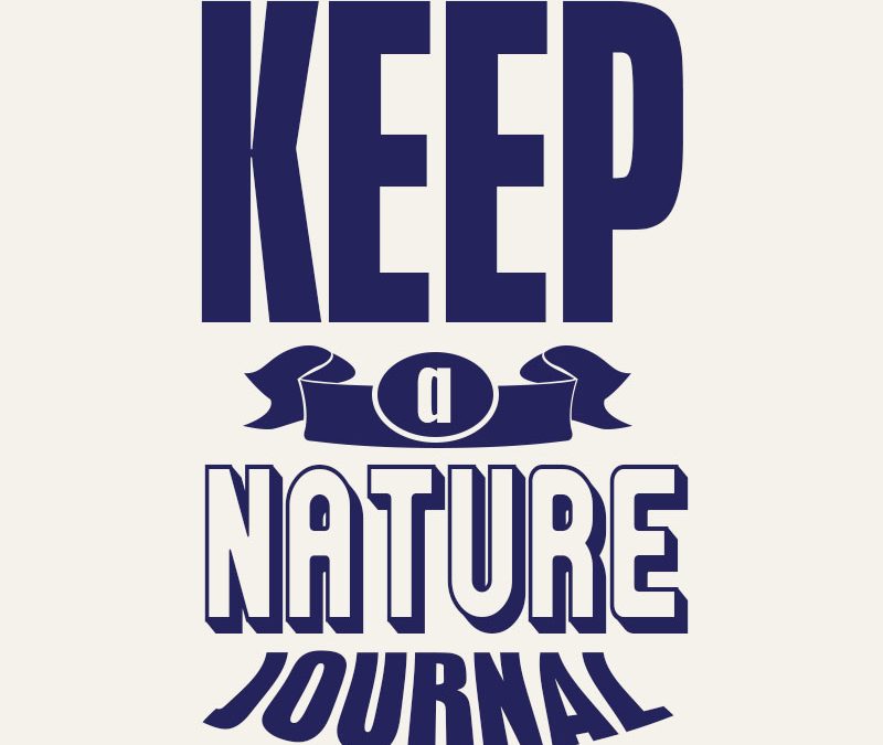 Keep a nature jurnal